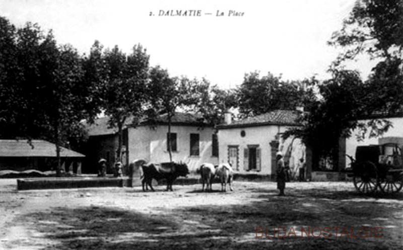 Dalmatie (2).png
